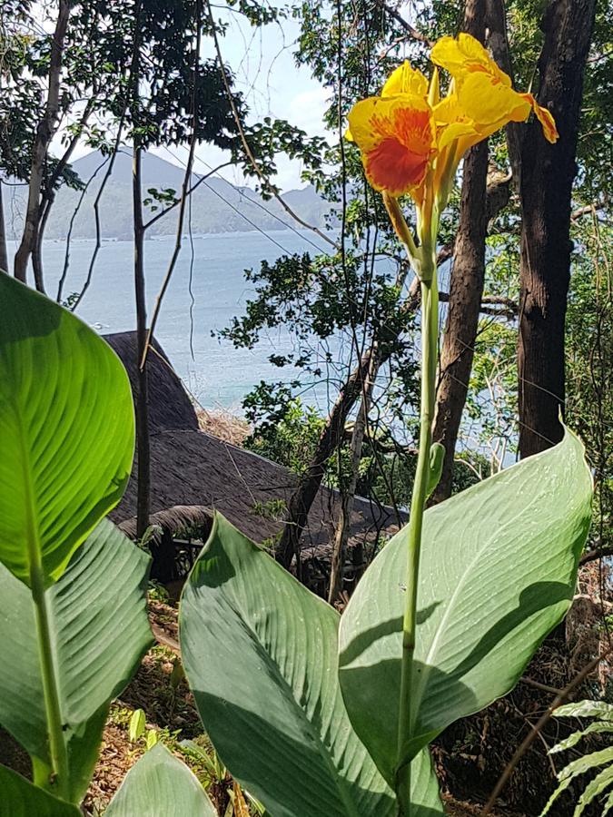Sunny Island Resort (Adults Only) El Nido Dış mekan fotoğraf